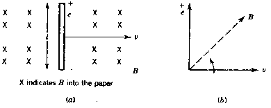 img22.gif